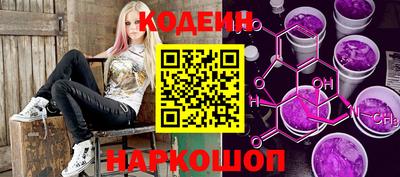 индика Ярославль