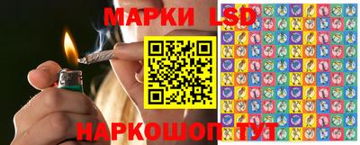 индика Анапа