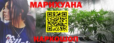 индика Ярославль
