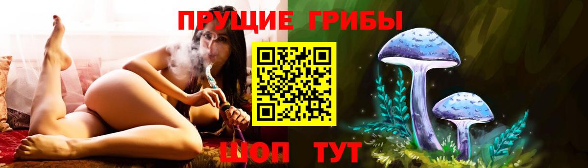 Галлюциногенные грибы GOLDEN TEACHER  Вход с VPN  Владивосток 